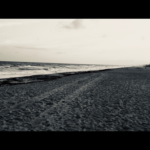 Meet your Posher, Judy - Picture 1 of 1